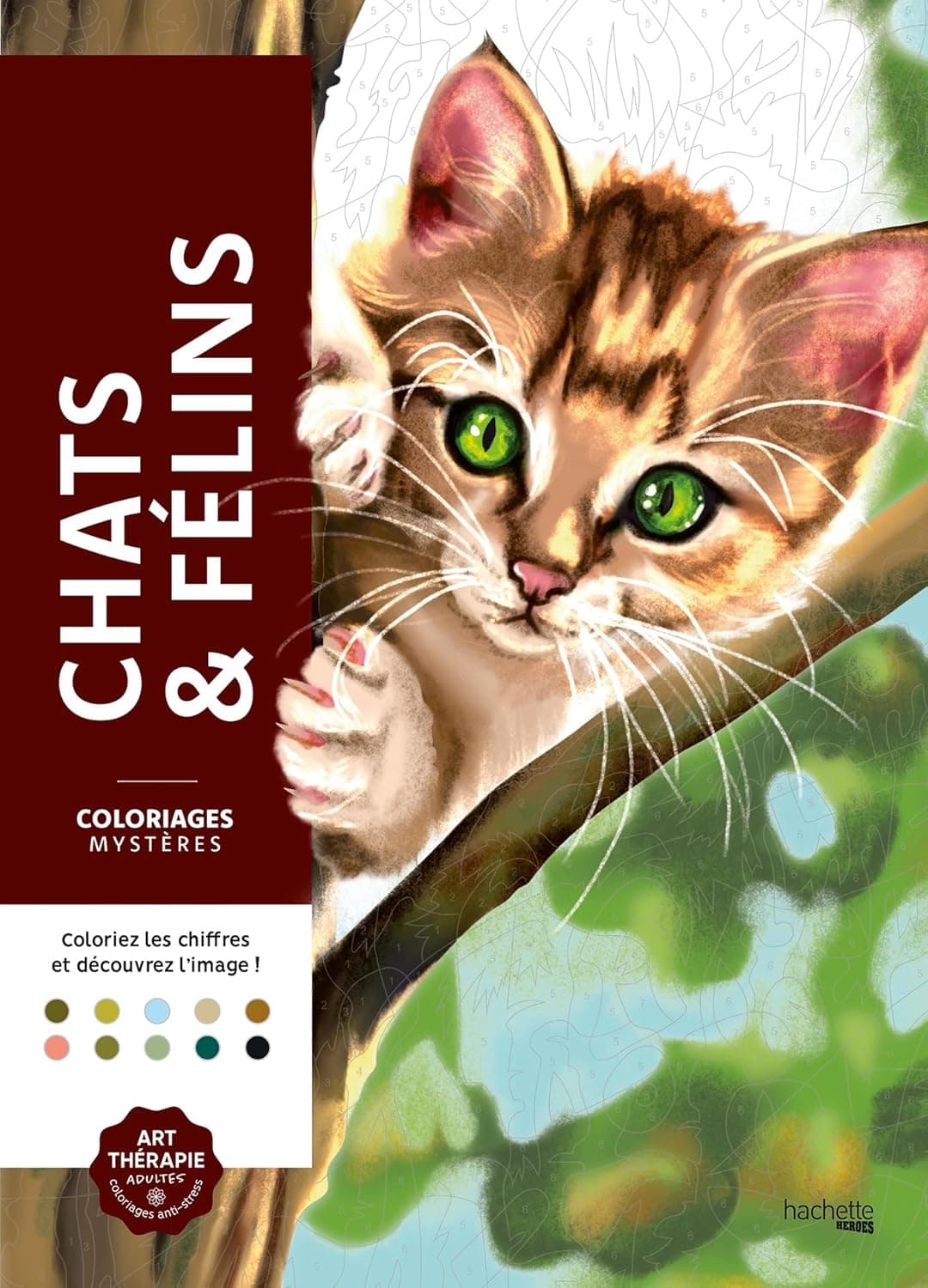 Chats & Felins